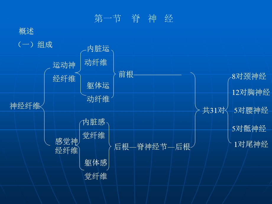 周围神经系统篇1.ppt_第1页