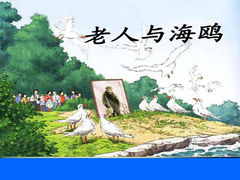 老人与海鸥2图文.ppt.ppt_第1页