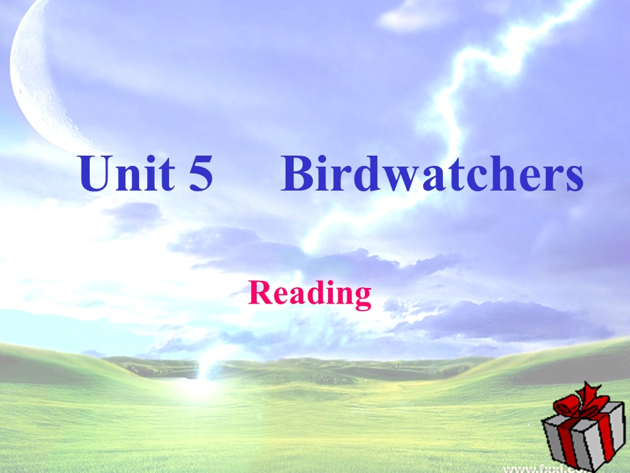 牛津英语8AUnit5BirdwatchersReading.ppt_第1页