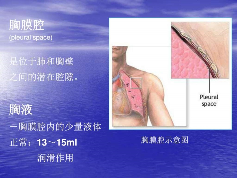 胸腔积液PPT图文.ppt.ppt_第3页