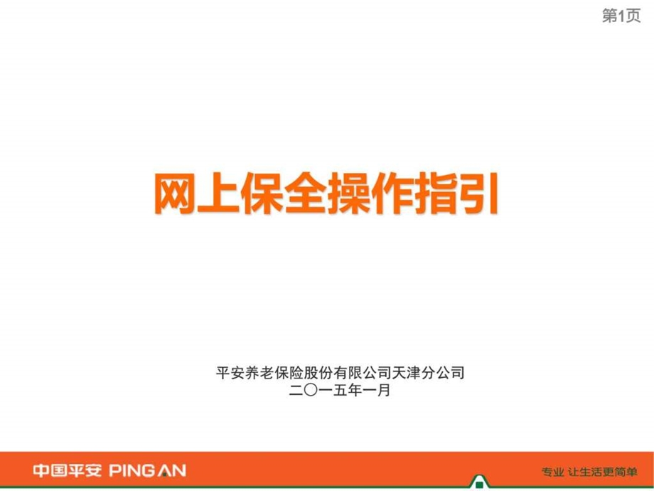 网上保全客户操作指引解决方案计划解决方案实用文档.ppt_第1页