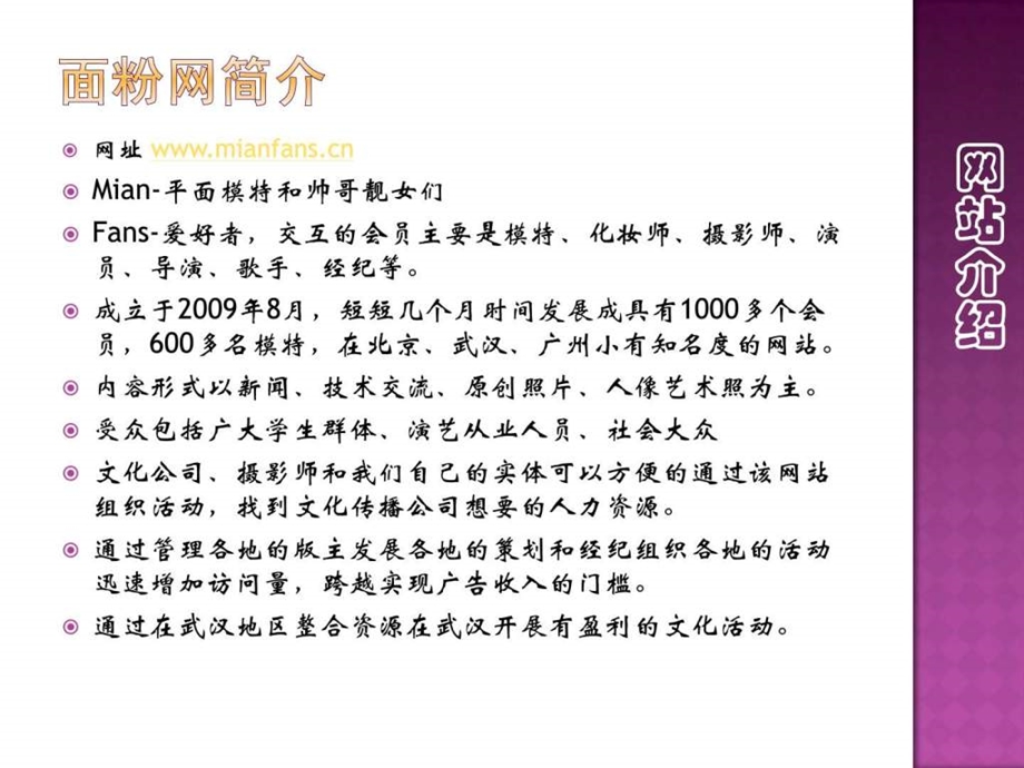 互联网项目投资计划书失败案例面粉网.ppt.ppt_第3页