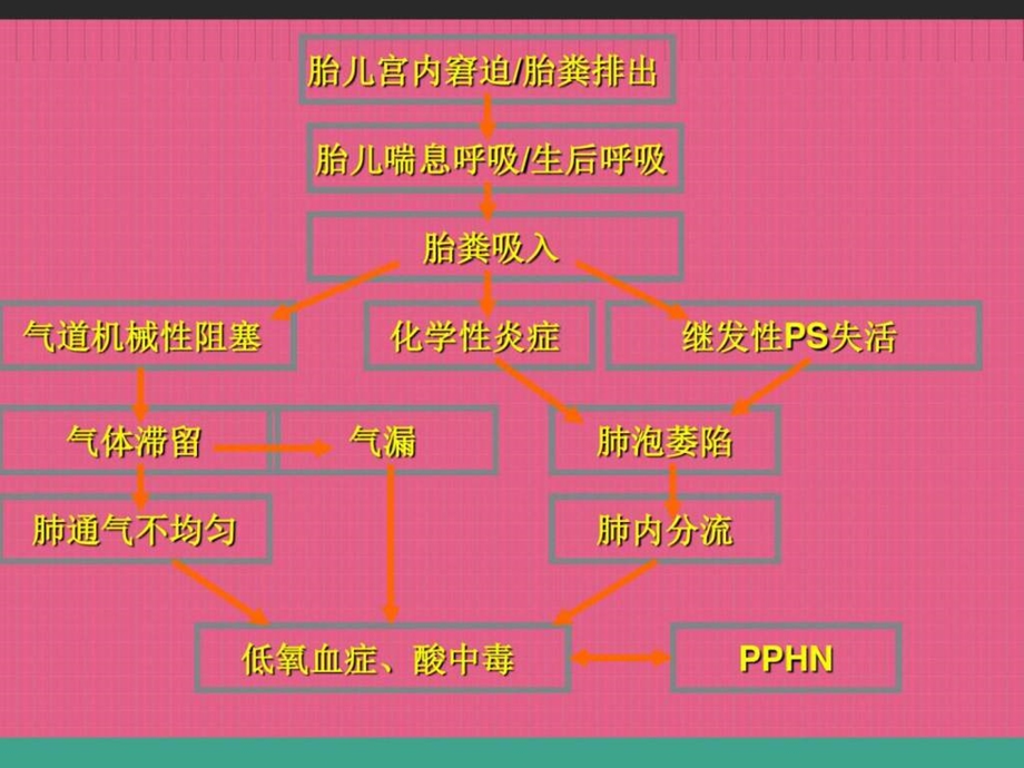 胎粪吸入综合征新生儿科图文1567045354.ppt.ppt_第3页