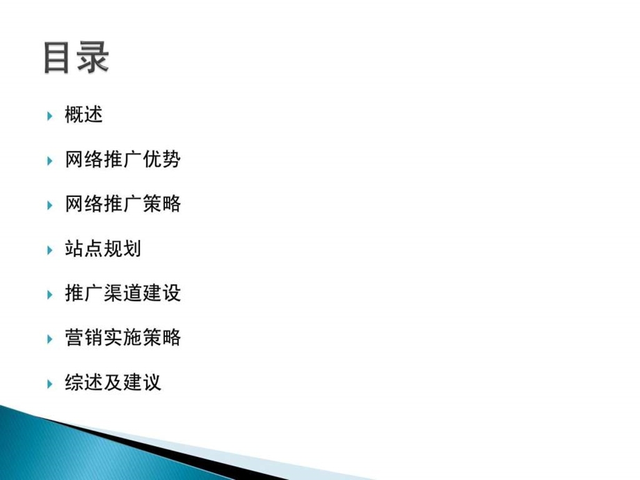 XX品牌网络营销规划.ppt.ppt_第2页