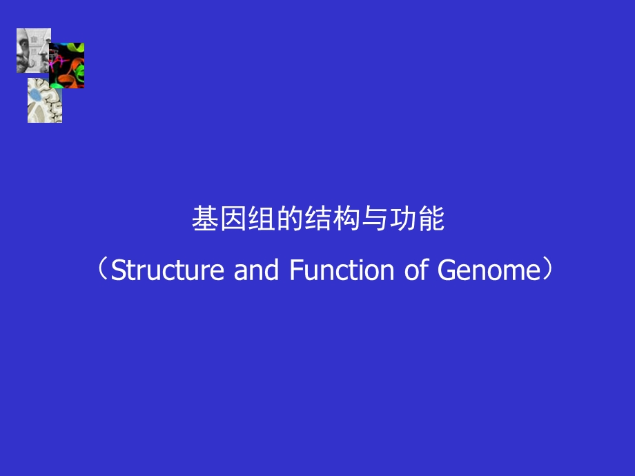 基因组构本科.ppt_第1页