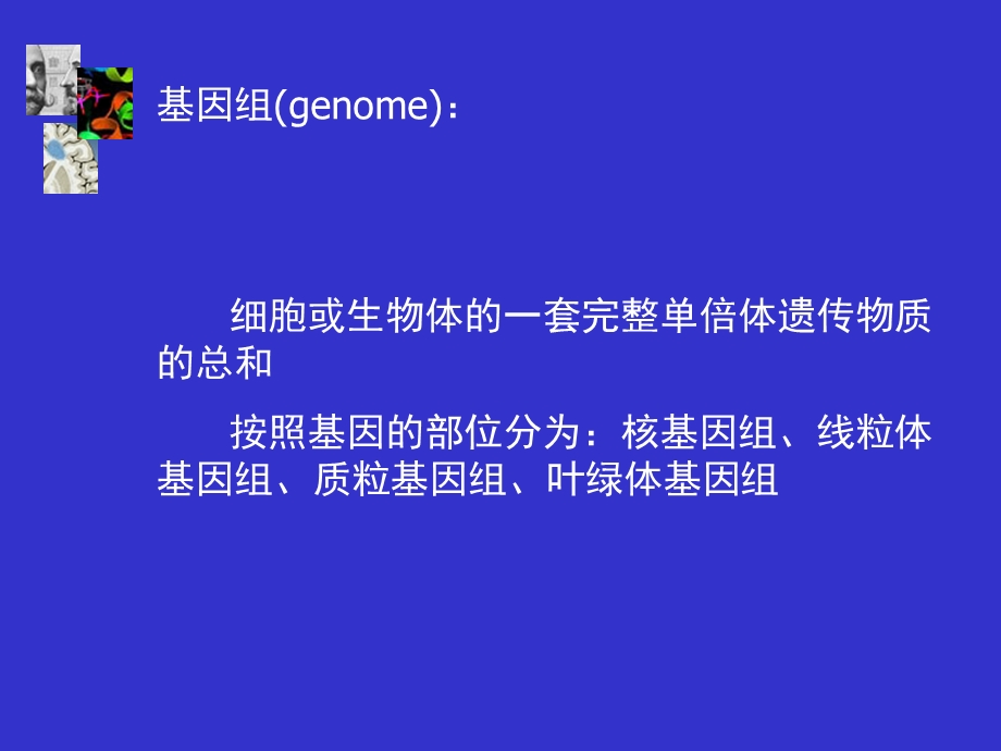 基因组构本科.ppt_第2页