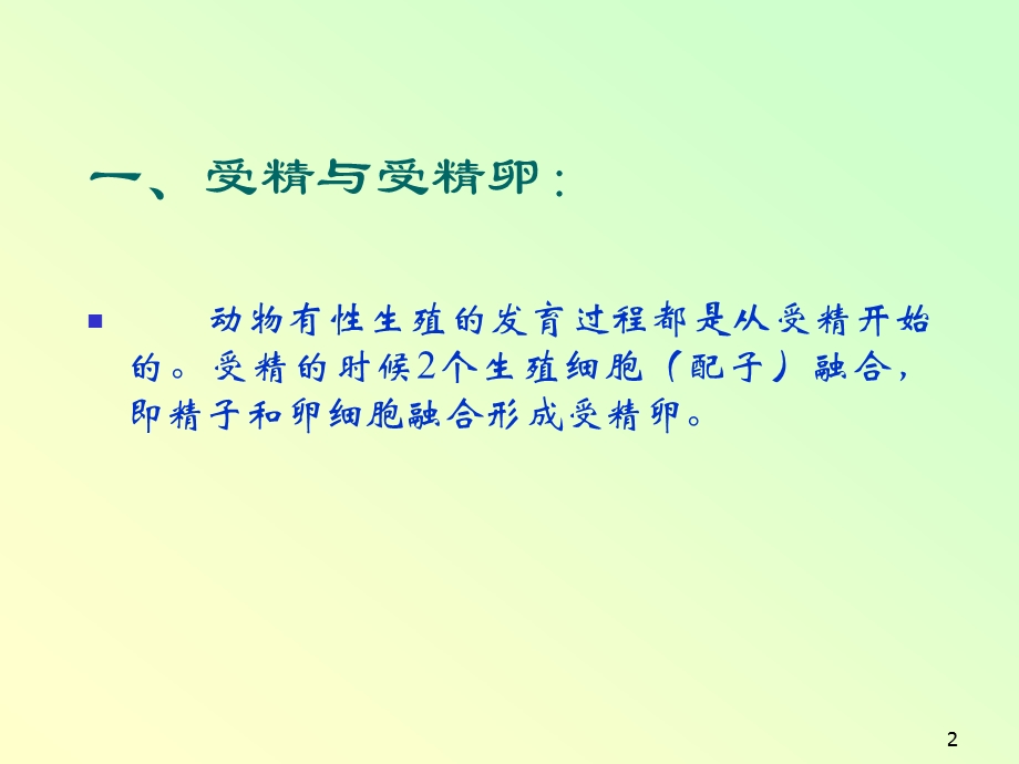 10420多细胞动物的胚胎发育.ppt_第2页