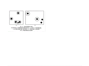 基因工程第六章2.ppt