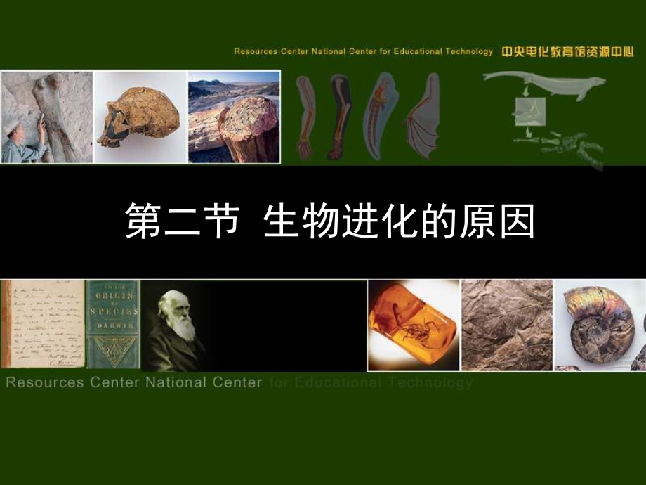 生物：第七单元第三章第三节生物进化的原因课件（人教版八年级下）.ppt_第1页