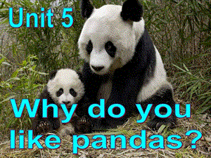 Unit5Whydoyoulikepandas课件PPT.ppt