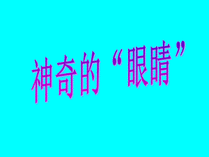 物理：46《神奇的眼睛》课件（教科版八年级上）.ppt