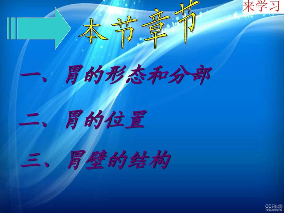 胃的演示文稿图文.ppt.ppt_第3页