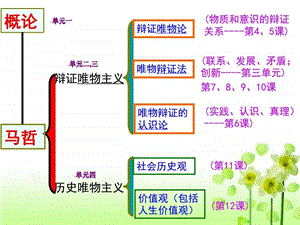 第十一课寻觅社会的真谛用图文.ppt.ppt