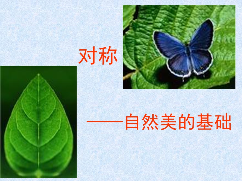 对称--自然美的基础.ppt_第1页