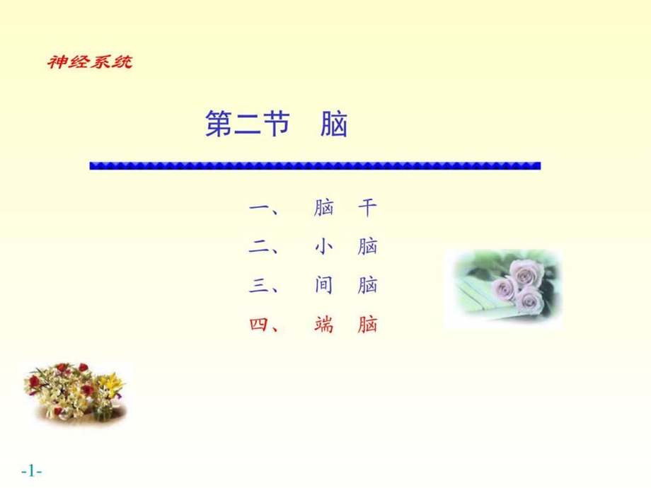 chapter174端脑图文.ppt.ppt_第1页