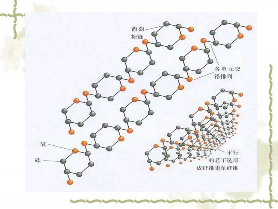 分解纤维素的细菌的分离.ppt.ppt_第3页