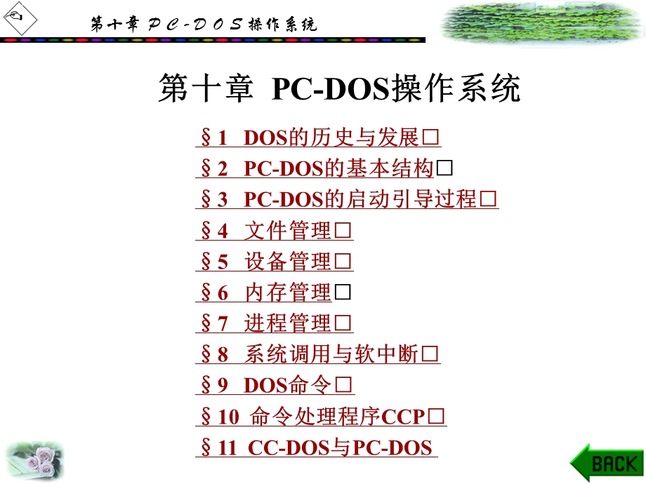 第十章PCDOS操作系统.ppt_第1页