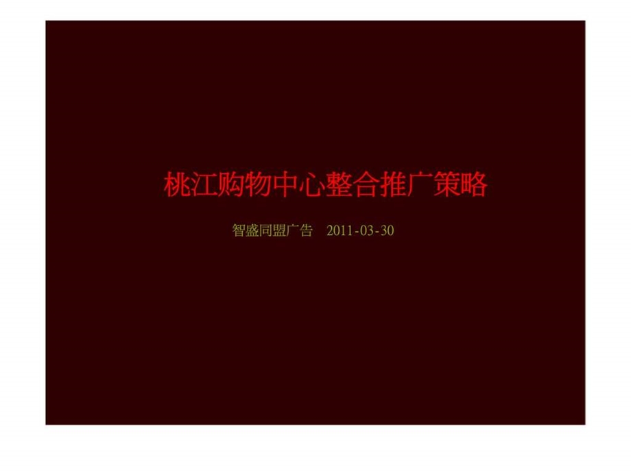 桃江购物中心整合推广策略.ppt_第2页