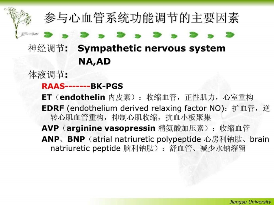 19肾素血管紧张素系统药理.ppt.ppt_第3页