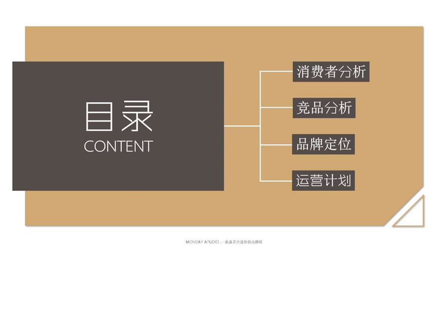 MONDAYSTUDIO定制高跟鞋品牌运营方案广告传媒人文社科专业资料.ppt.ppt_第2页