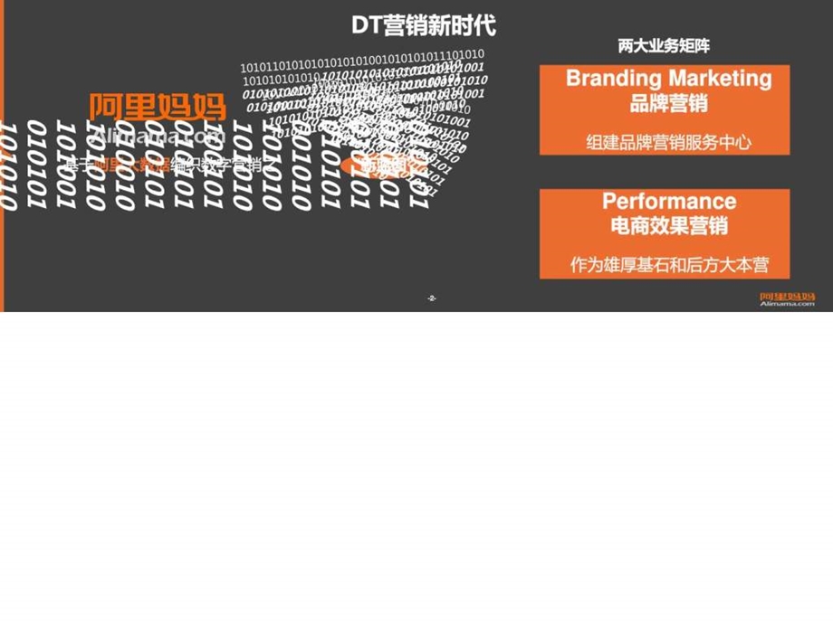 阿里妈妈全息大数据及电商平台营销数据分析报告.ppt_第2页