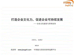 1史德安企业文化建设与管理实务史德安中华讲师网....ppt.ppt