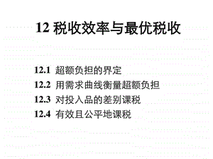 12税收效率与最优税收.ppt.ppt