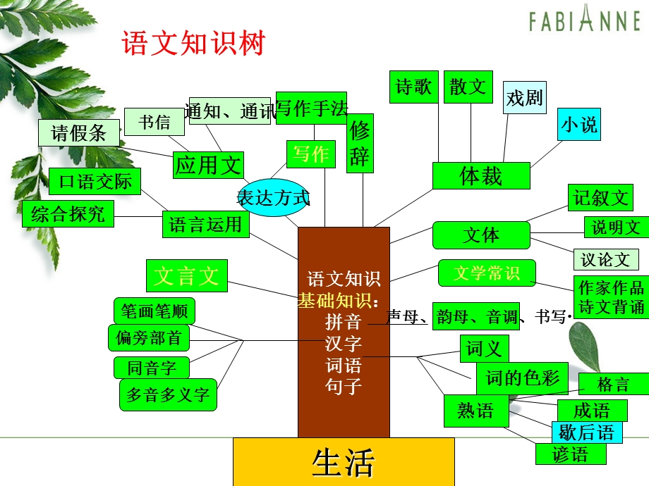 教案：小学语文基础知识.ppt_第3页