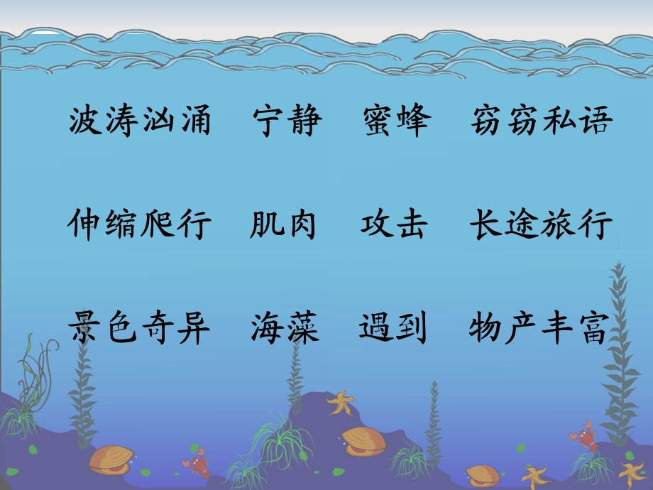 海底世界第二课时.ppt_第2页