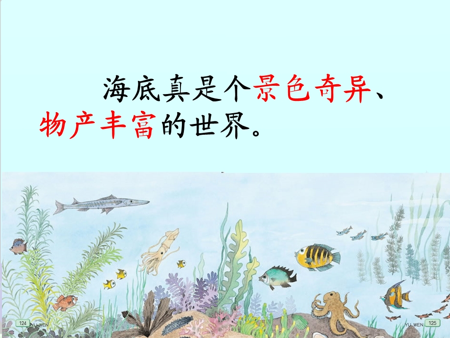 海底世界第二课时.ppt_第3页