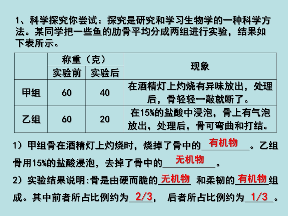 第一节动物的运动4(9月16日精品教育.ppt_第3页