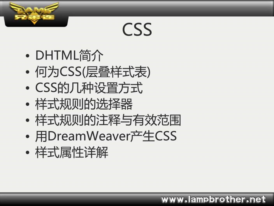 网站开发教程css简介.ppt_第2页