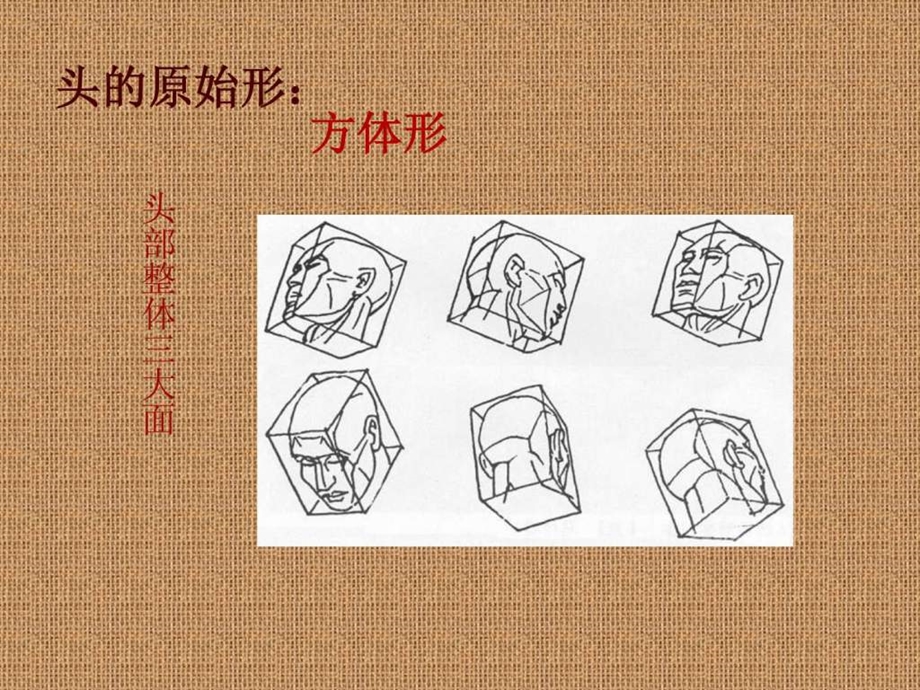 素描头像结构分析1606880432.ppt.ppt_第2页