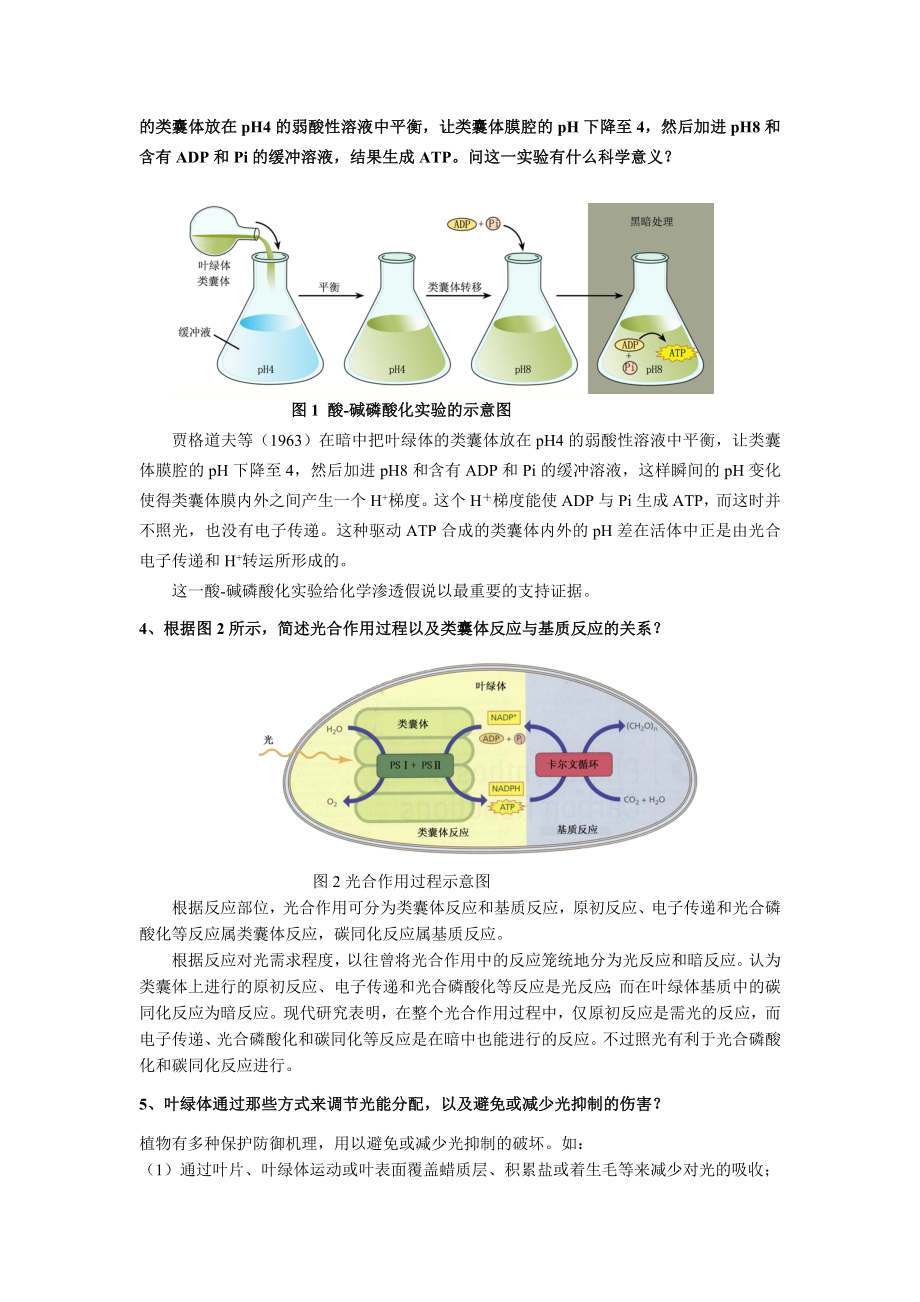 植物光合作用.doc_第3页