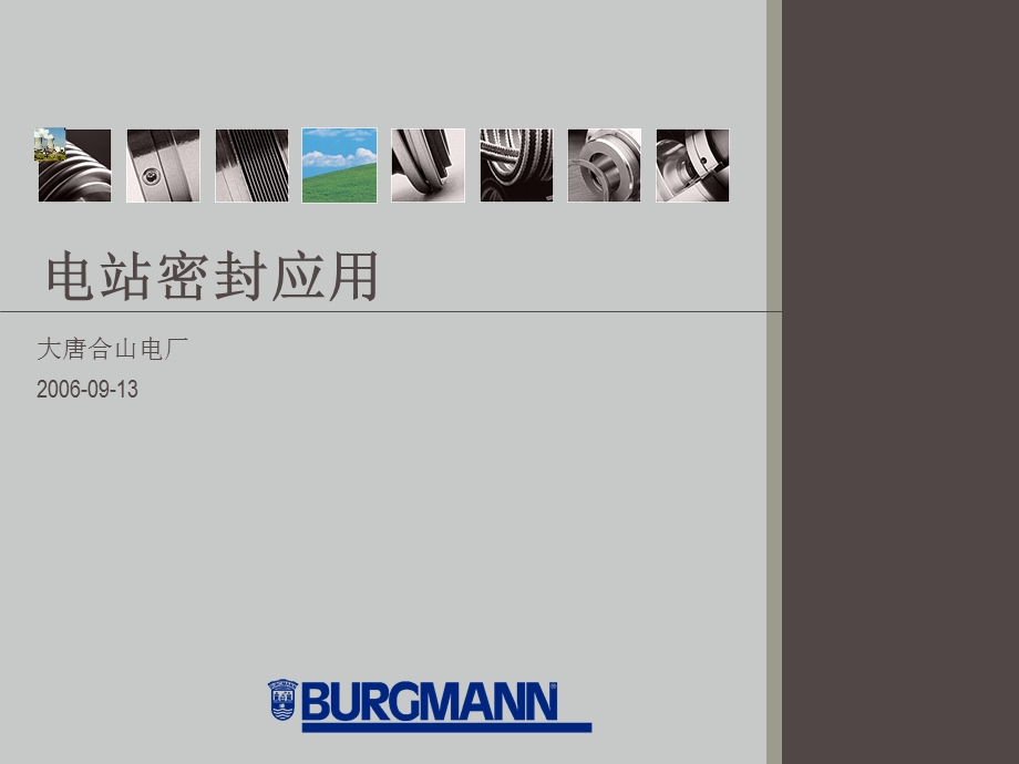 电站密封应用.ppt_第1页