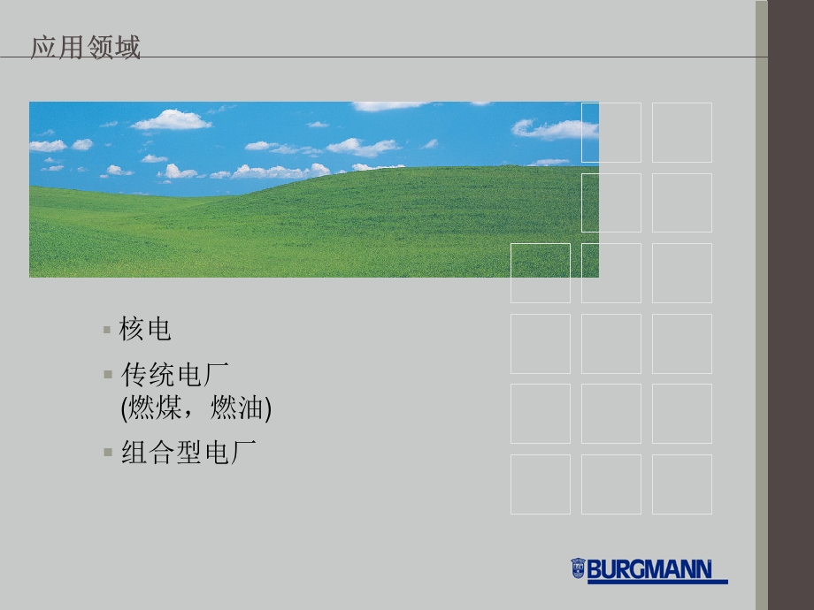 电站密封应用.ppt_第2页