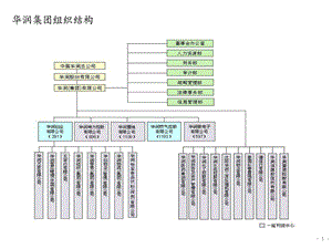 华润置地组织管控.ppt.ppt