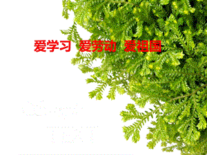 爱学习_爱劳动_爱祖国.ppt