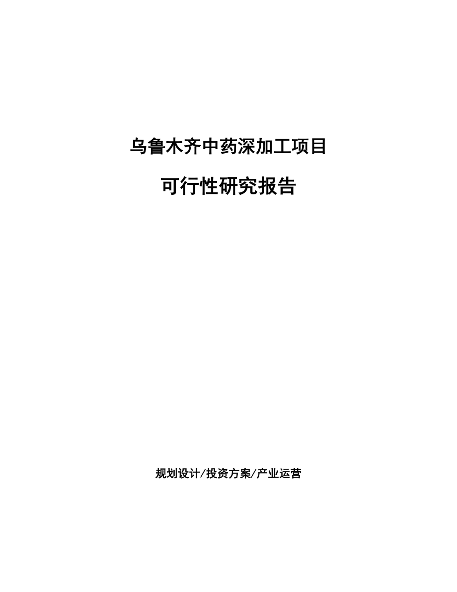 乌鲁木齐中药深加工项目可行性研究报告-(1).docx_第1页