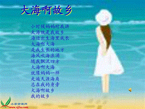 赶海PPT课件.ppt