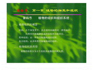 植物的组织和组织系统.ppt