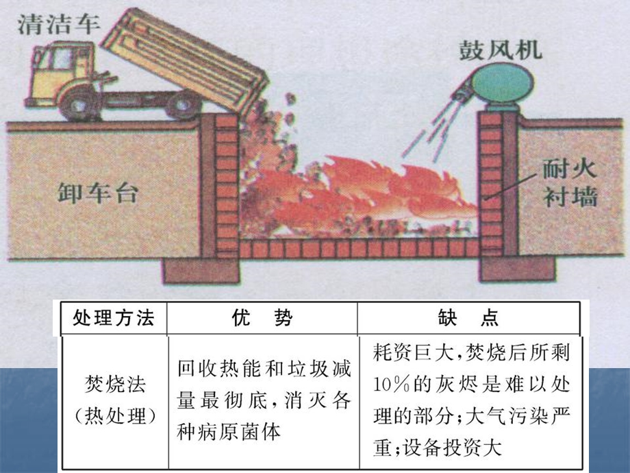 1210第44课时环境污染生态系统土壤盐碱化.ppt_第3页