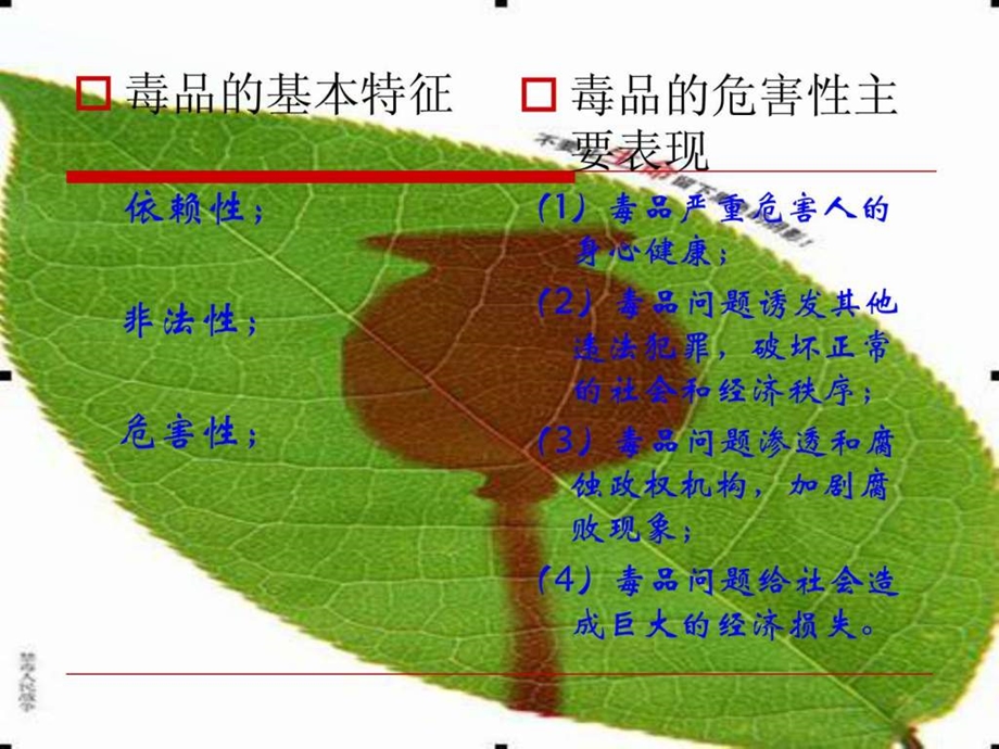 禁毒宣传教育.ppt.ppt.ppt_第3页