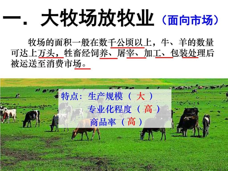 畜牧业图文.ppt.ppt_第3页