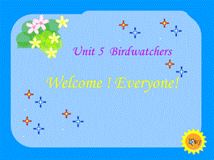 牛津英语8AUnit5Birdwatchers.ppt