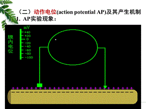 12级药学本科细胞的基本功能2.ppt