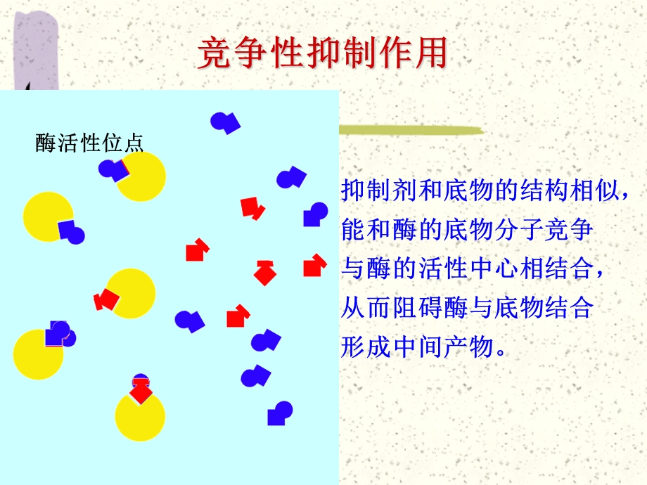 实验5琥珀酸脱氢酶ALT.ppt_第3页