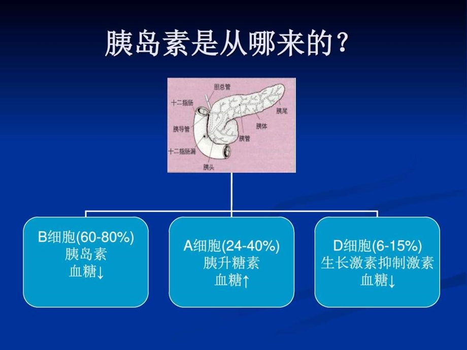 糖尿病病人的护理查房1图文.ppt_第2页