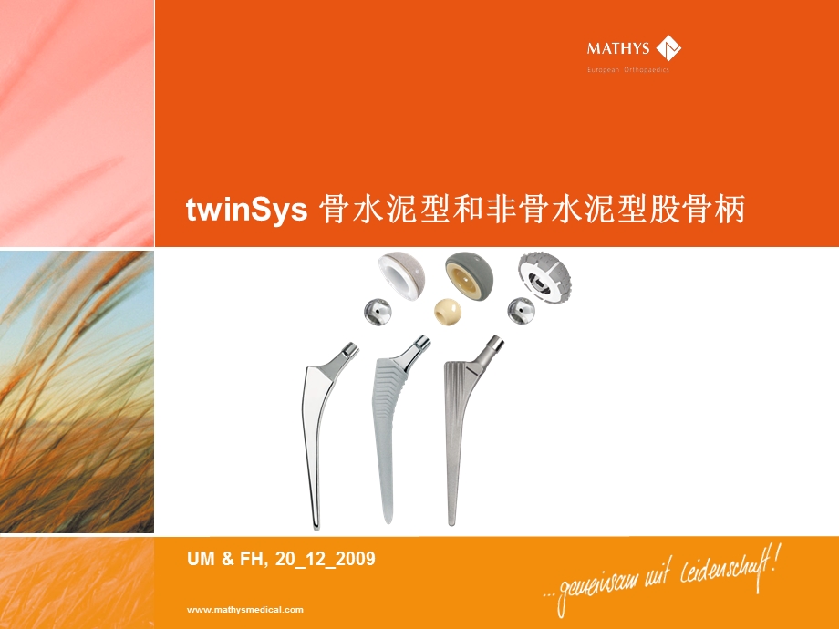 twinSys股骨柄关节置换.ppt_第1页