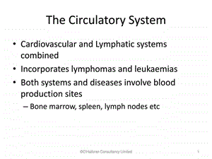 血液循环系统英文.ppt.ppt